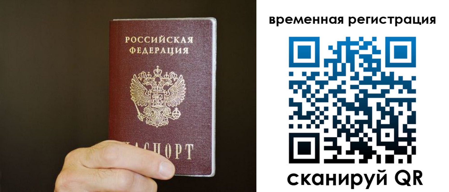 прописка гарантия в Кашине